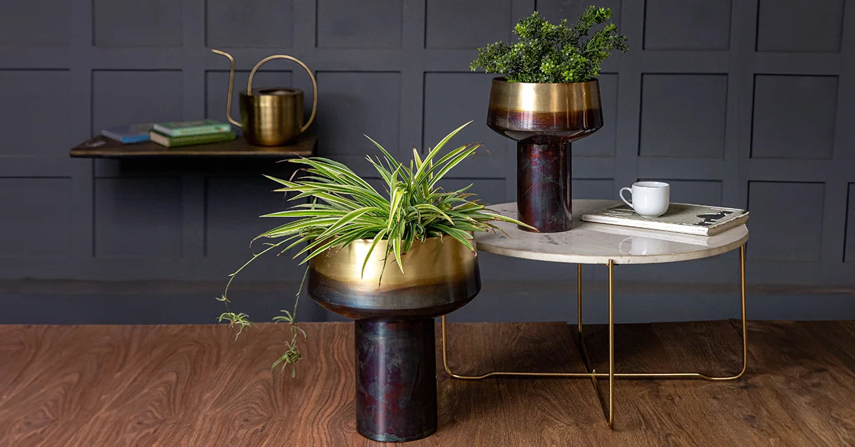 Decorative Planters and Pots for Plants to Decorate Your Home