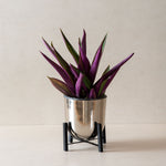 Micro Silver Metal Planter for living room