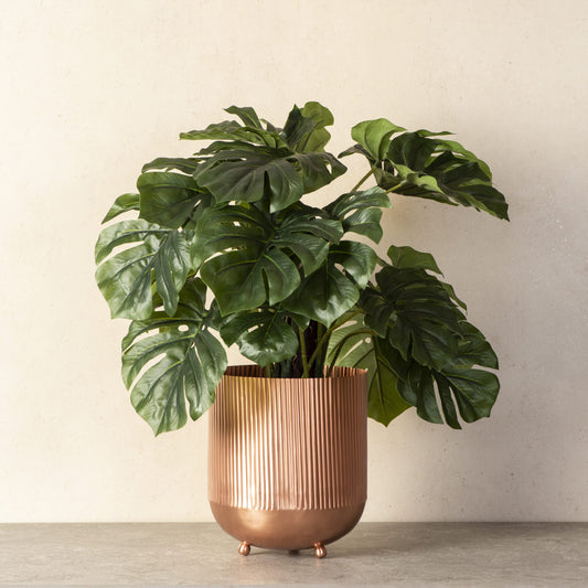 Ripple Cut Brass Planters for Indoor Plants | Small Dustbin for Bathroom