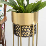 Gold Planters with cane work