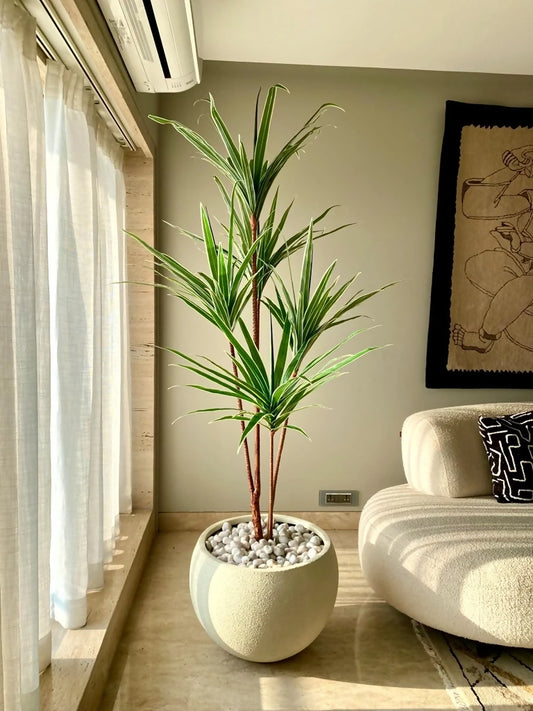 Artificial plant in living room, Artificial Dracaena Tree