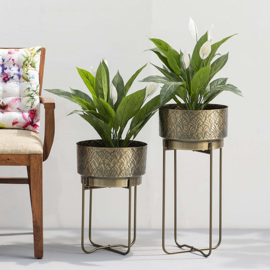 Two Gingko Leaf Embossed Antique Gold Planters with Green plants