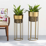 Gold Planters with Green Plants