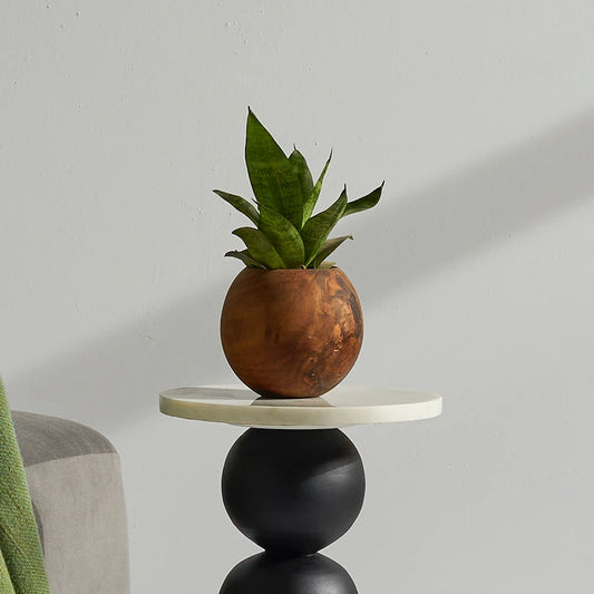 Ball Wooden Planter | Office Desk Planter | Wooden Plant Pot for Indoor Plants