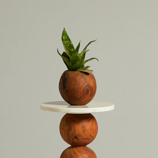 Spherical planter for table