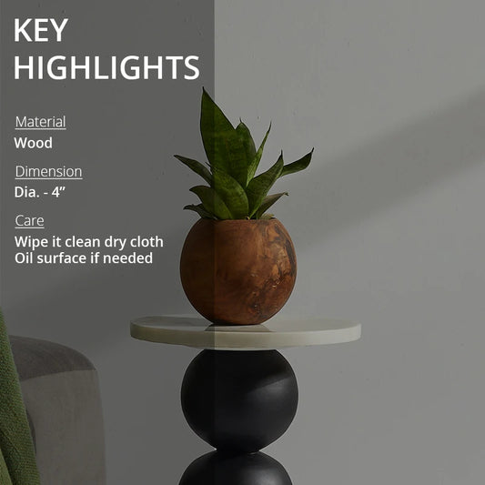 Key highlights of Wooden Ball planter