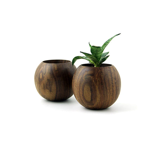 Round carved planter for plant