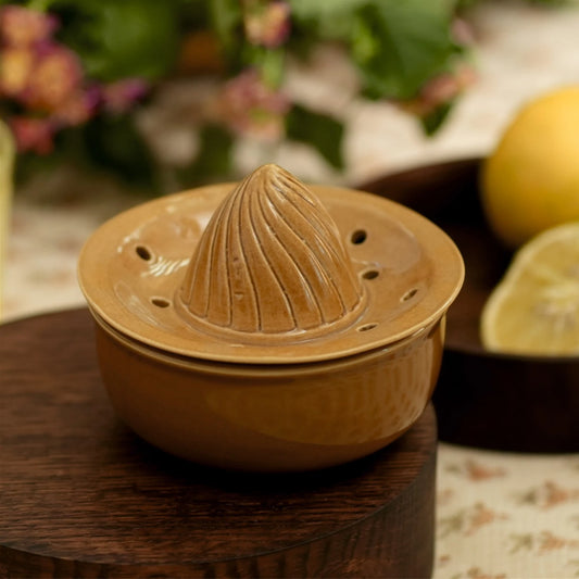 Buy citrus juicer online deals