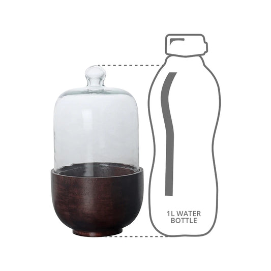 Size comparison of Cloche with bottle