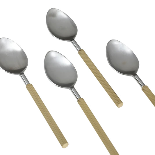 Dariya Stainless Steel Spoon Set Of 4 | Table Spoon Set