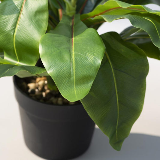 Wide Leaf Birds Nest Fern Artificial Plant