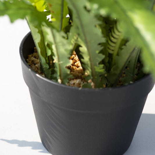 Crinkle Fern Artificial Plant