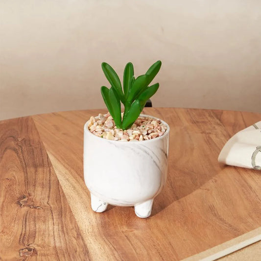 Small Decorative Artificial Plant | Ripple Succulent Plant Pot | Table Decor Item