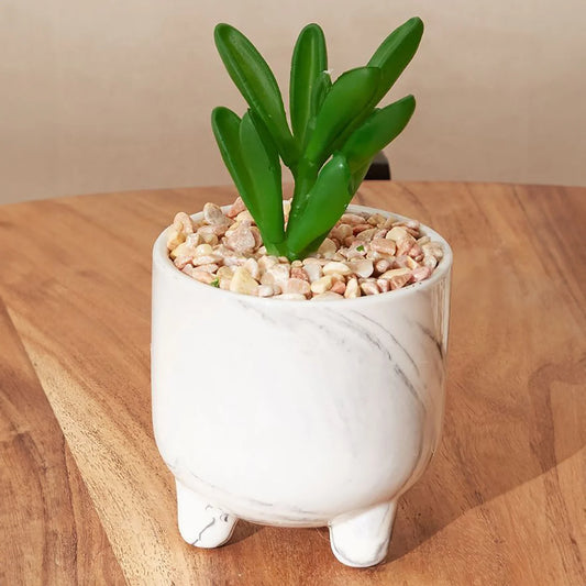 Small Decorative Artificial Plant | Ripple Succulent Plant Pot | Table Decor Item
