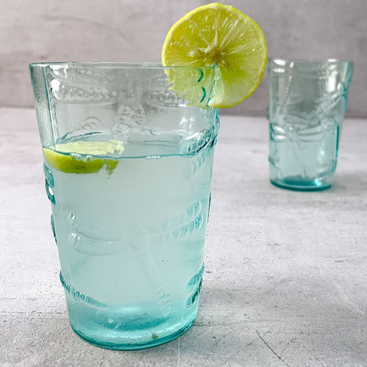 Turquoise Dragonfly Water Glasses