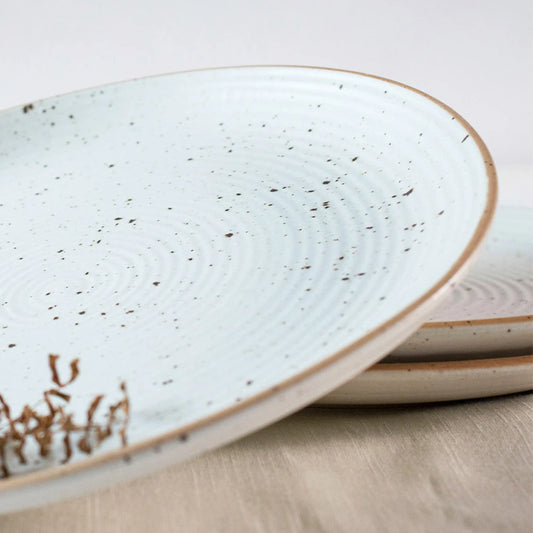 Rann Dinner Plate Set of 2 | Ceramic White Plates | Ceramic Plates for Dinner