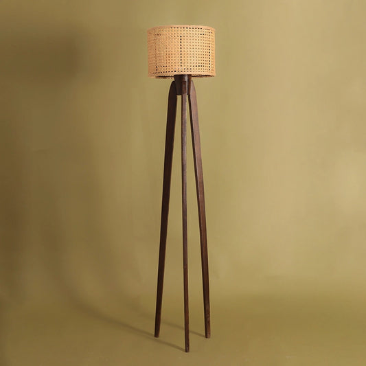 Tripod Cane Floor Lamp