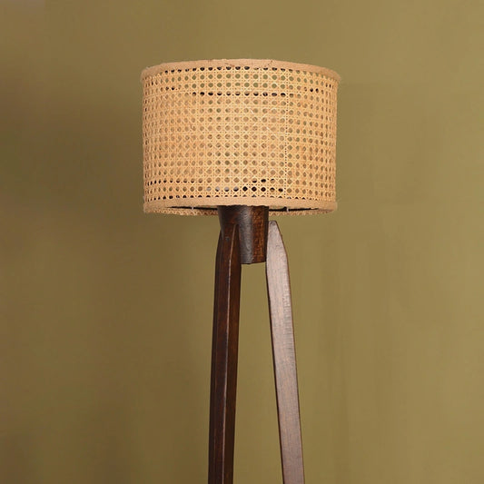 Modern floor lamp with cane lamp shade