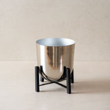 Premium metal planters for living room or office
