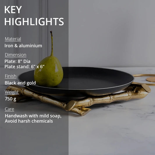 Key highlights of plate and plate stand