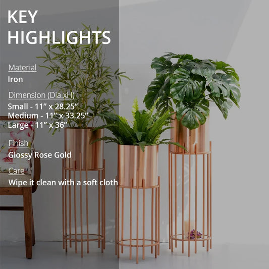 Key highlights of Zola planters for indoor plants in rose gold
