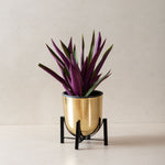 Micro Gold Table top Planters