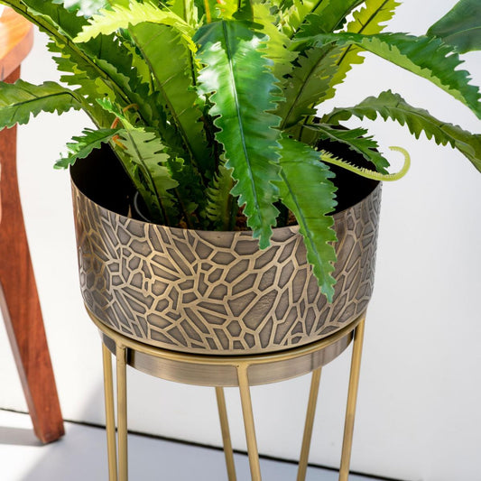 Elegant etched design planter for indoor plants
