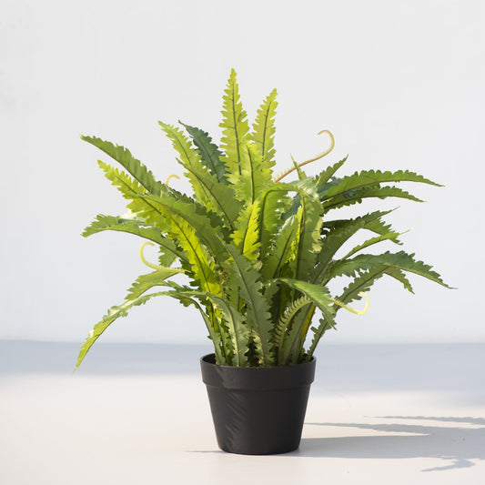 Crinkle Fern Artificial Plant with Pot Set