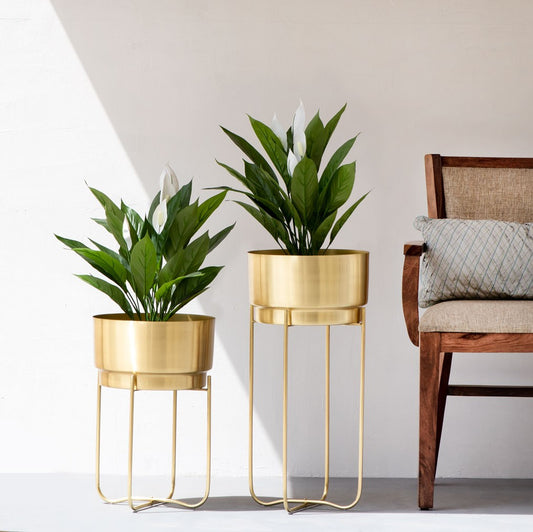 Champagne Gold Metal Planter Stand Indoor | Indoor Planters for Living Room (Set of 2)