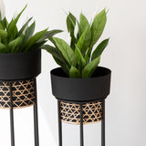 Elegant black indoor planter for living room