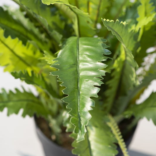 Crinkle Fern Artificial Plants with Pots