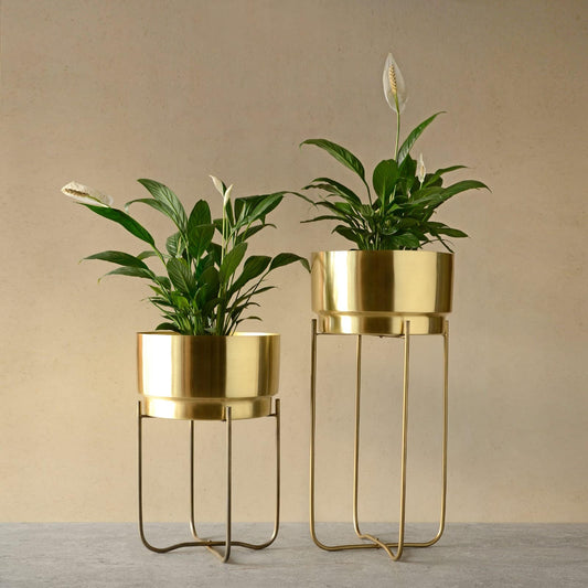 Two champagne gold planters