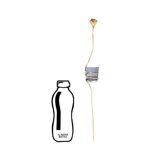 Size comparison of candle holder with bottle