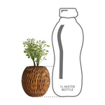 Height comparison of Carved Spherical Planter with a 1l bottle