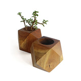 Two faceted cube wooden planter