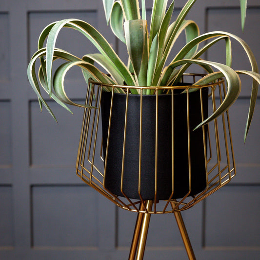 planter for living room