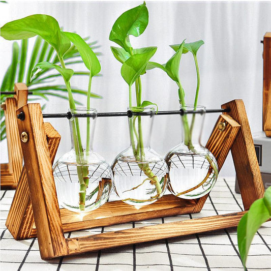 Flask planter with wooden base