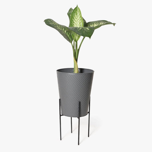 Grey Metal Bin Planters with snake plant