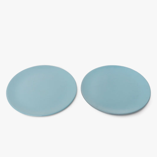 2 blue plates in terracotta
