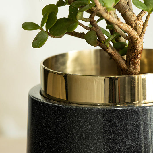 Mabrle planter with gold frame