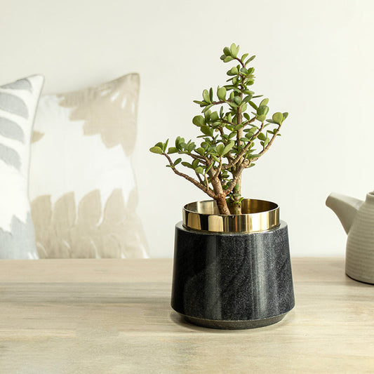 Oronoir Table Planter | Marble Planter for Desk | Desk Planter - Black