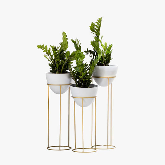 White Tall Planters for living room