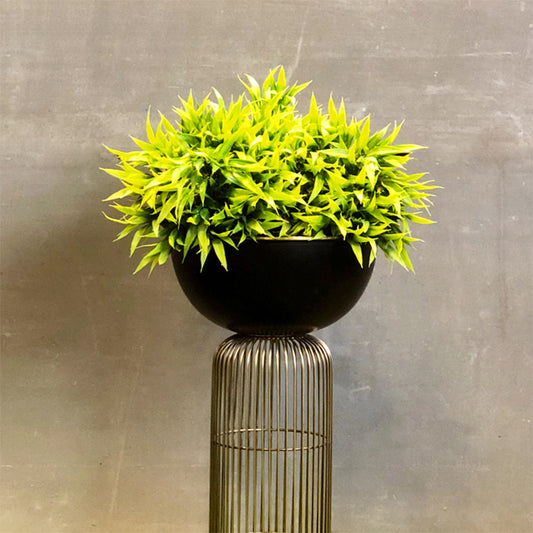 Green plant on black pot with stand