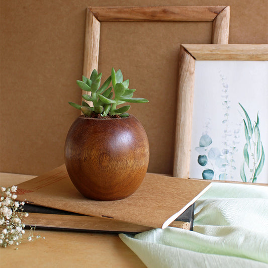 Spherical succulent planter for desk and table