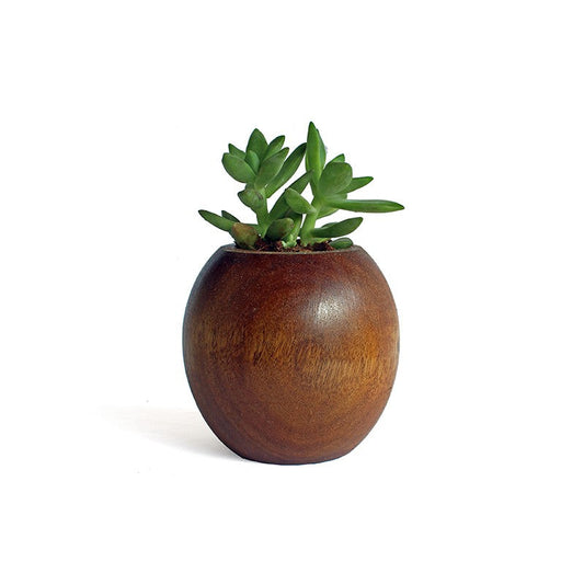 Spherical wooden succulent planter