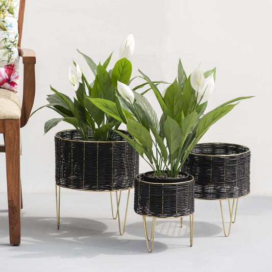 Theos Black Cane Planters for Indoor Plants | Indoor Planter Stand Set of 3