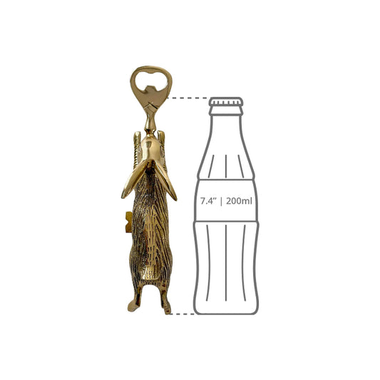 Side Comparison of Soda bottle with Opener
