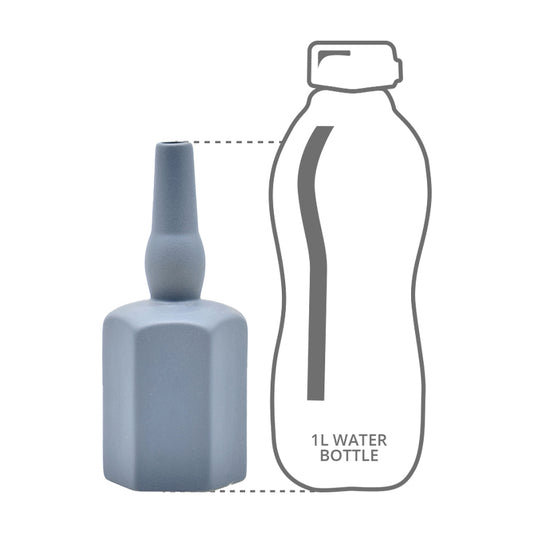 Height comparison of a wine bottle vase with a 1l bottle