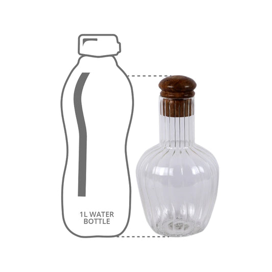 height comparison of water carafe with 1l bottle