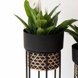 Black planter with cane work